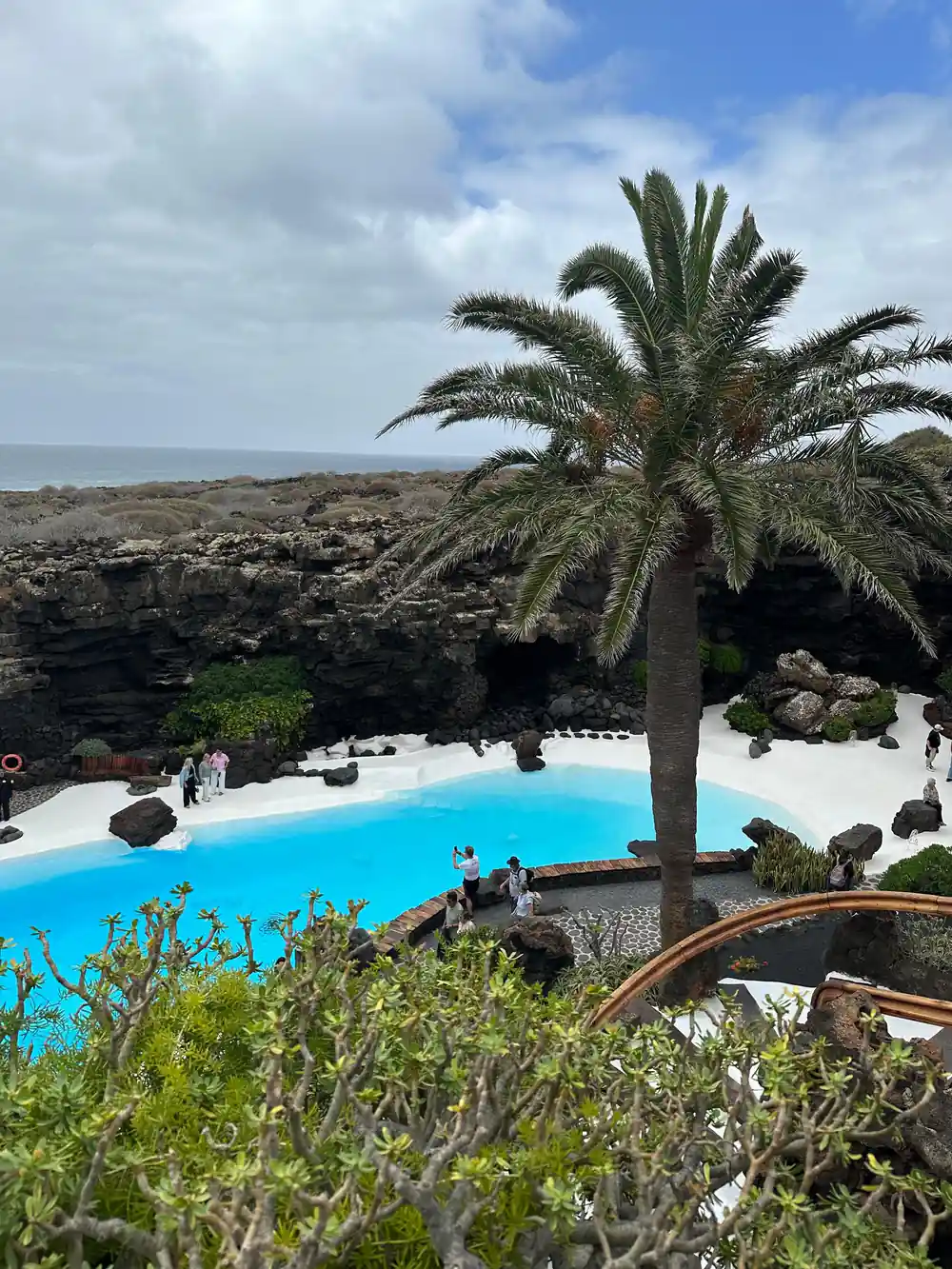 Bright blue artificial pool with palm tree and lava