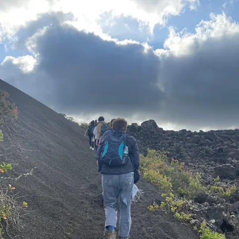 Hikers walking a dark volcanic trail past green shrubs