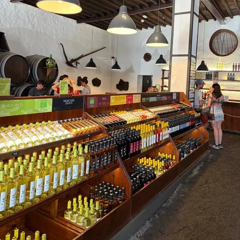 Winery shop with shelves of Lanzarote wine bottles